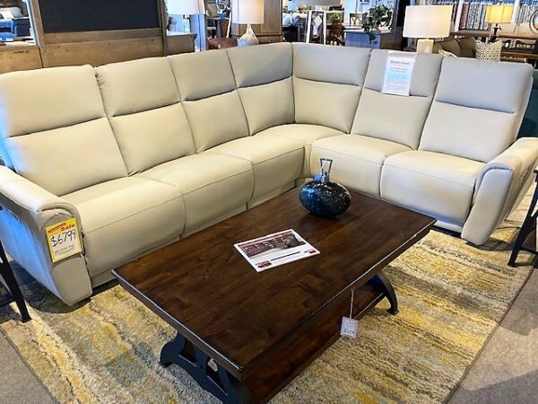 Customizable Elran 6000 Art of Options - Custom Sectional - Image 5