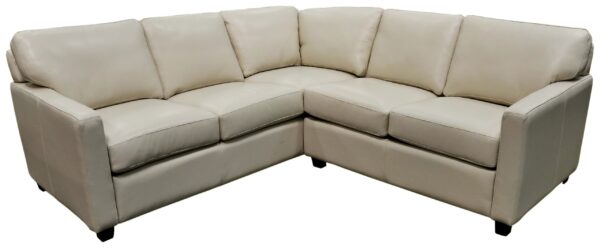 Omnia Stationary Solutions - Leather Sectional - Image 2