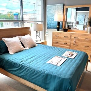 Modern Platform Bedroom